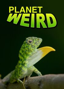 Planet Weird Ne Zaman?'