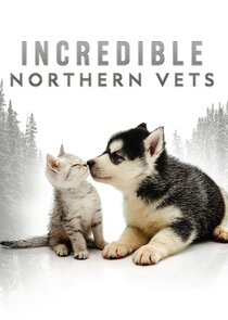 Incredible Northern Vets Ne Zaman?'