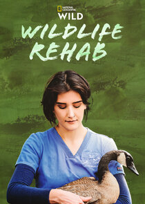Wildlife Rehab Ne Zaman?'