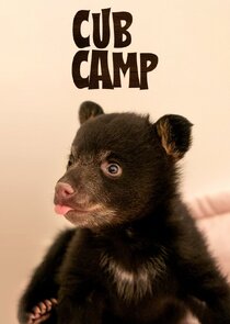 Cub Camp Ne Zaman?'