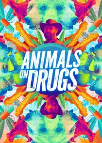 Animals on Drugs Ne Zaman?'