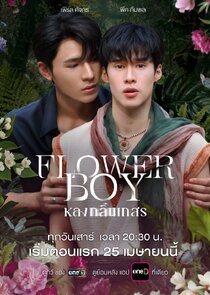 Flower Boy Ne Zaman?'