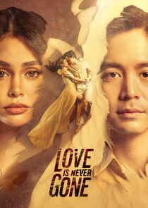Love is Never Gone Ne Zaman?'