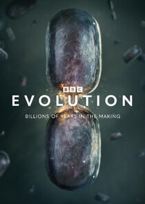 Evolution Ne Zaman?'